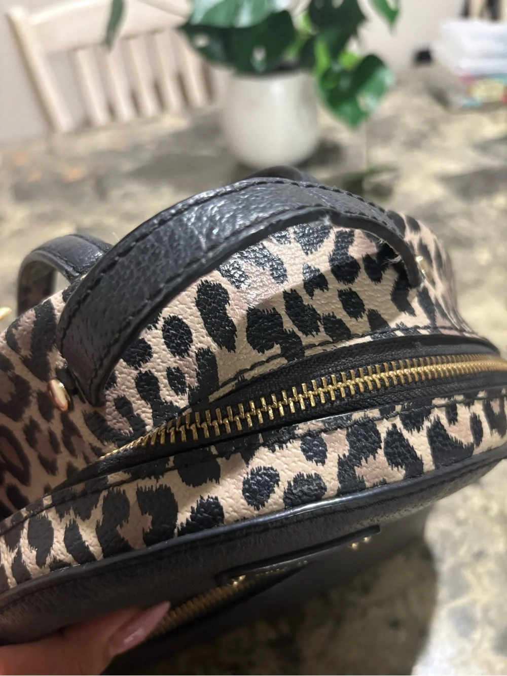 kate spade Leopard Accent Black Mini Backpack